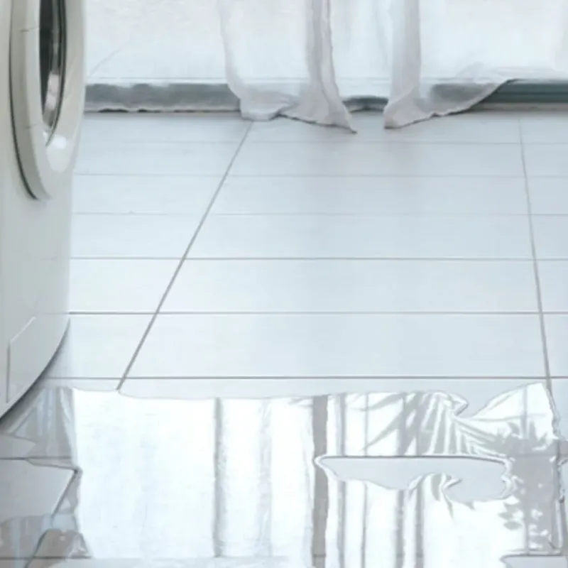 Appliance Leak Cleanup in Hammond, LA
