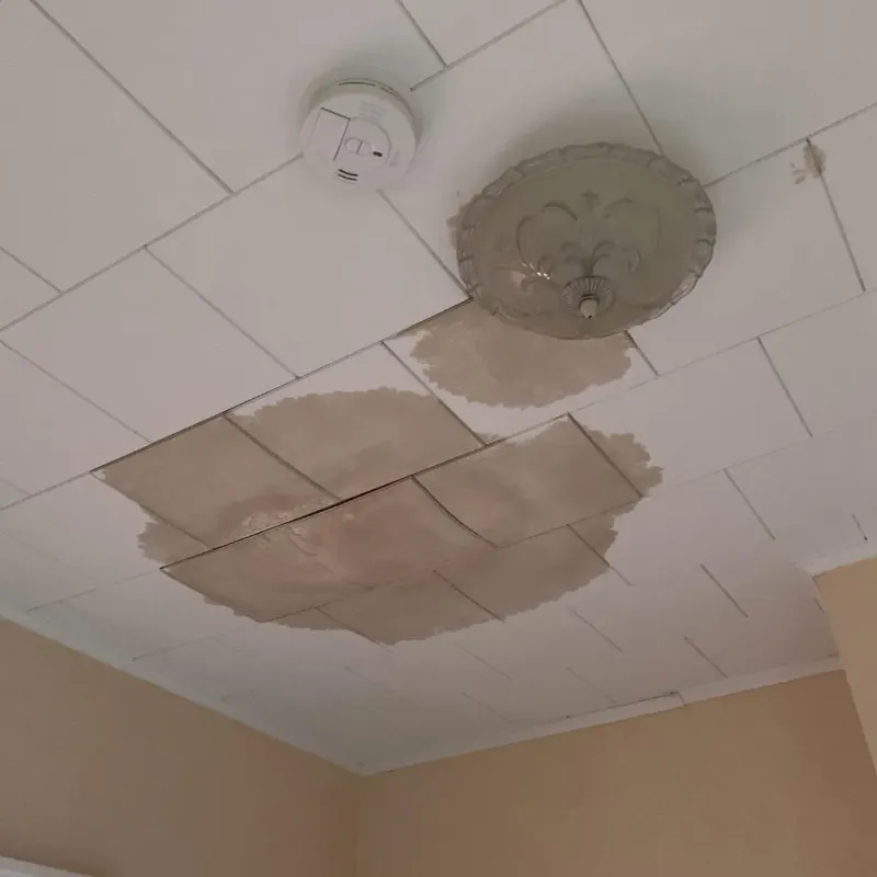 Ceiling Water Damage Repair in Hammond, LA